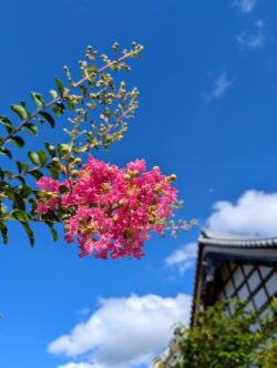 9月の行事予定